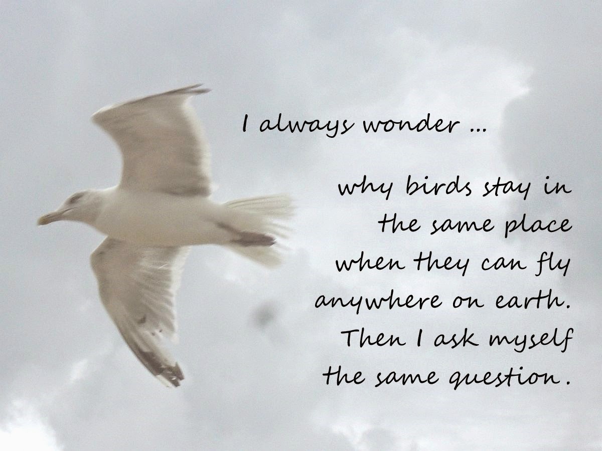 Gedichte Und Zitate Fur Alle Lustige Und Satirische Gedichte Von