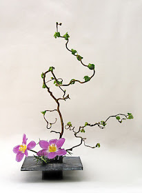 serenata-flowers