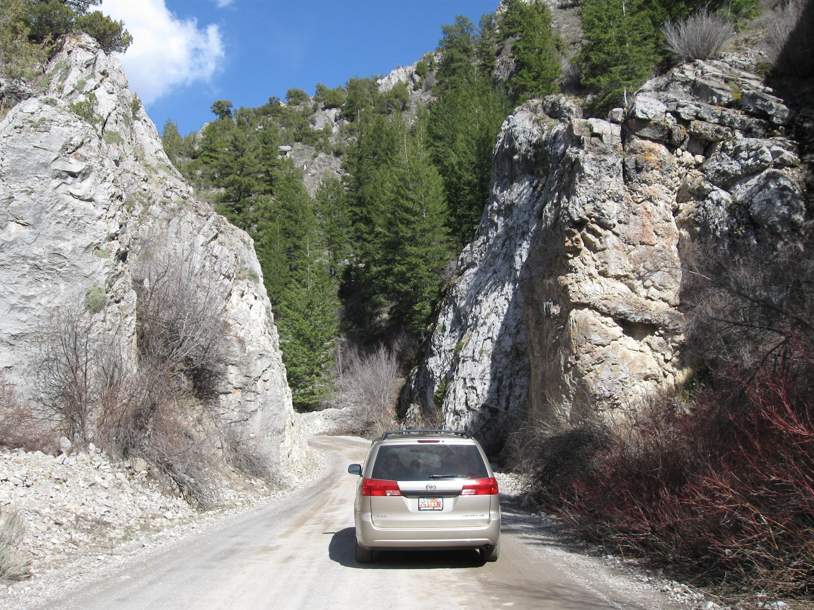 Ogden Insights Things To Do In Idaho Wolverine Canyon and Forty Horse