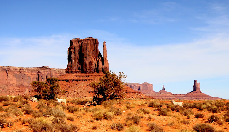 Monument Valley Sheep herd