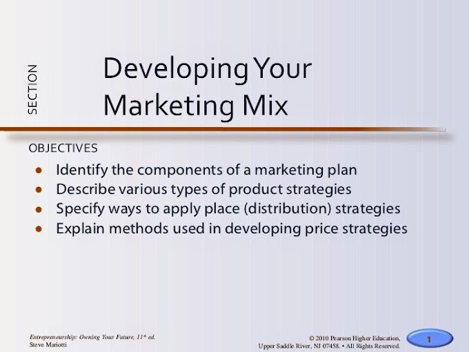 DEVELOPING THE MARKETING MIX