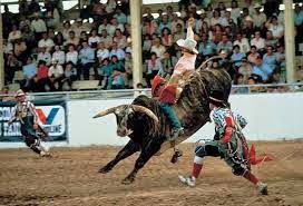 rodeo ride