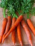 carrot