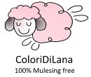 ColoriDiLanaShop