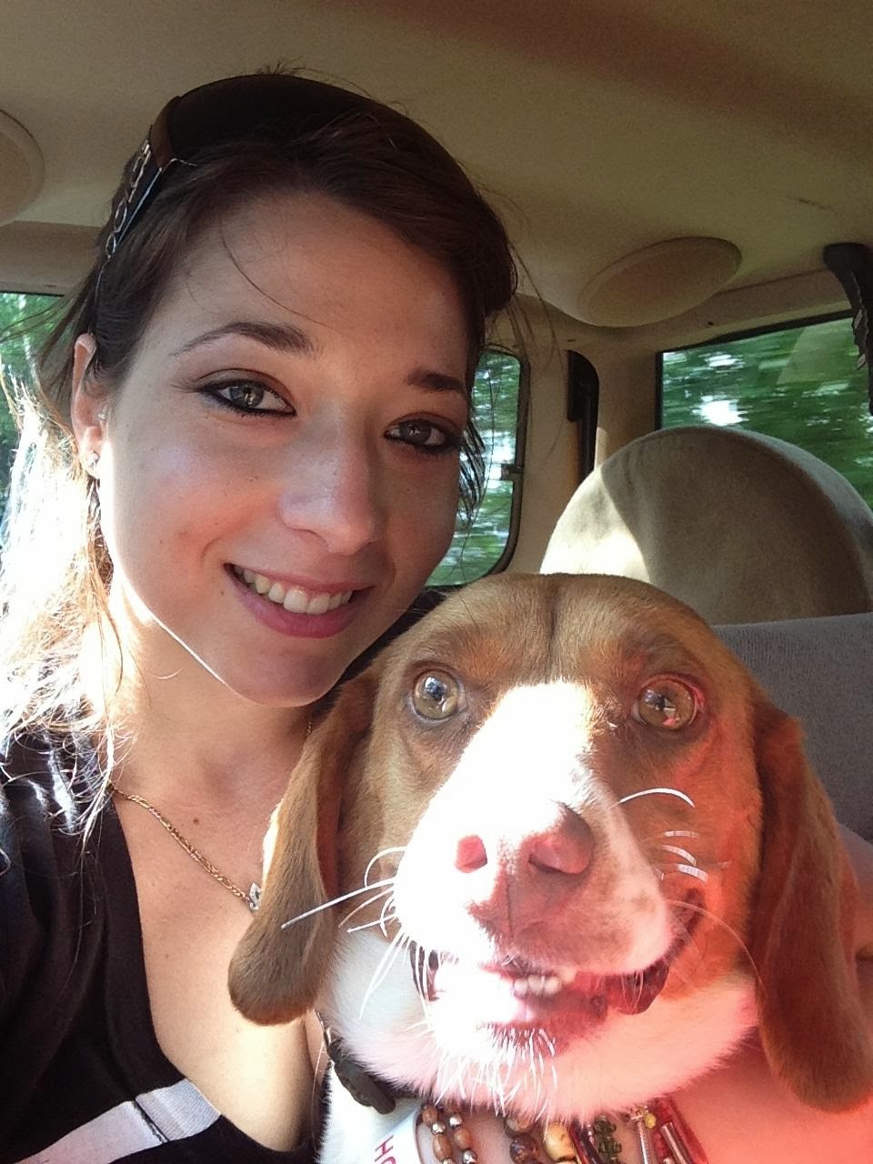 Funny animals taking selfies with humans (35 pics) Amazing Creatures