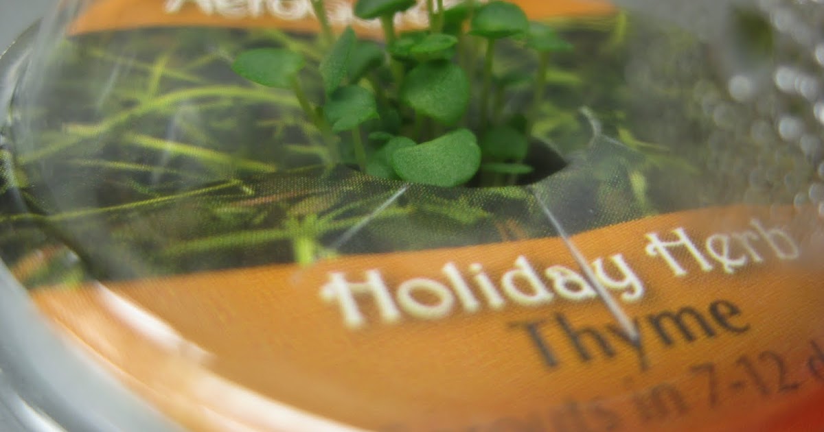 Aerogarden Thyme and Basil are in da house! Indoor Gardening My
