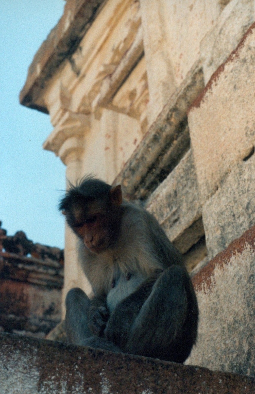 Nunc Hic Page 34 Chan 8720313 Rssing Com