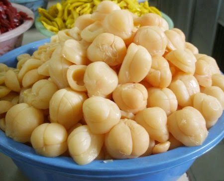 Willyanvan Resep Pembuatan Manisan Salak Pondoh Willyanvan Resep Pembuatan Manisan Salak Pondoh