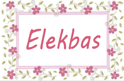 Elekbas