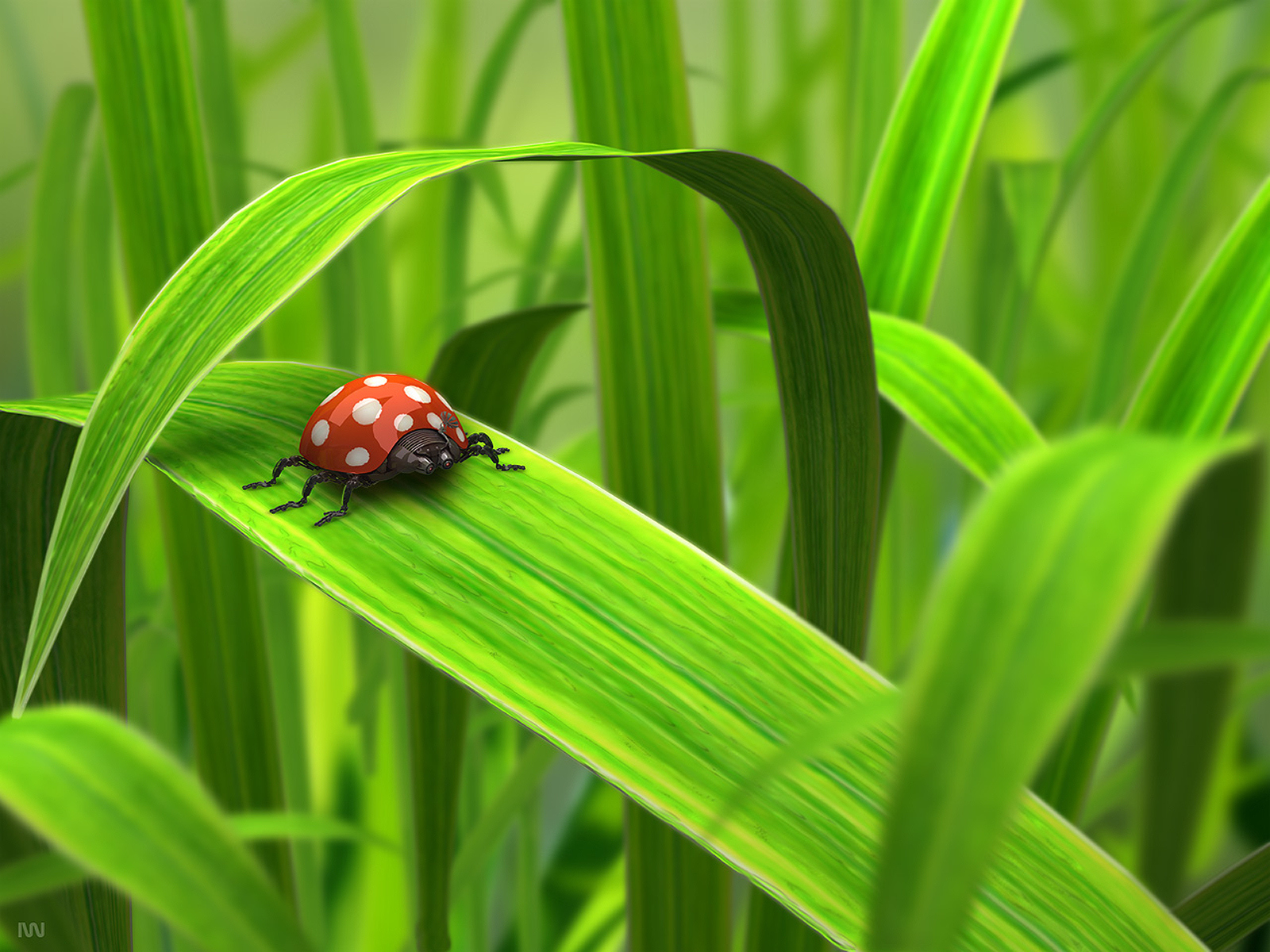 http://2.bp.blogspot.com/-dvtqqz0Nlzs/UPORDfxO3BI/AAAAAAAAVCQ/Q6uy-_Chkck/s1600/abstract_computer_wallpaper+(56).jpg