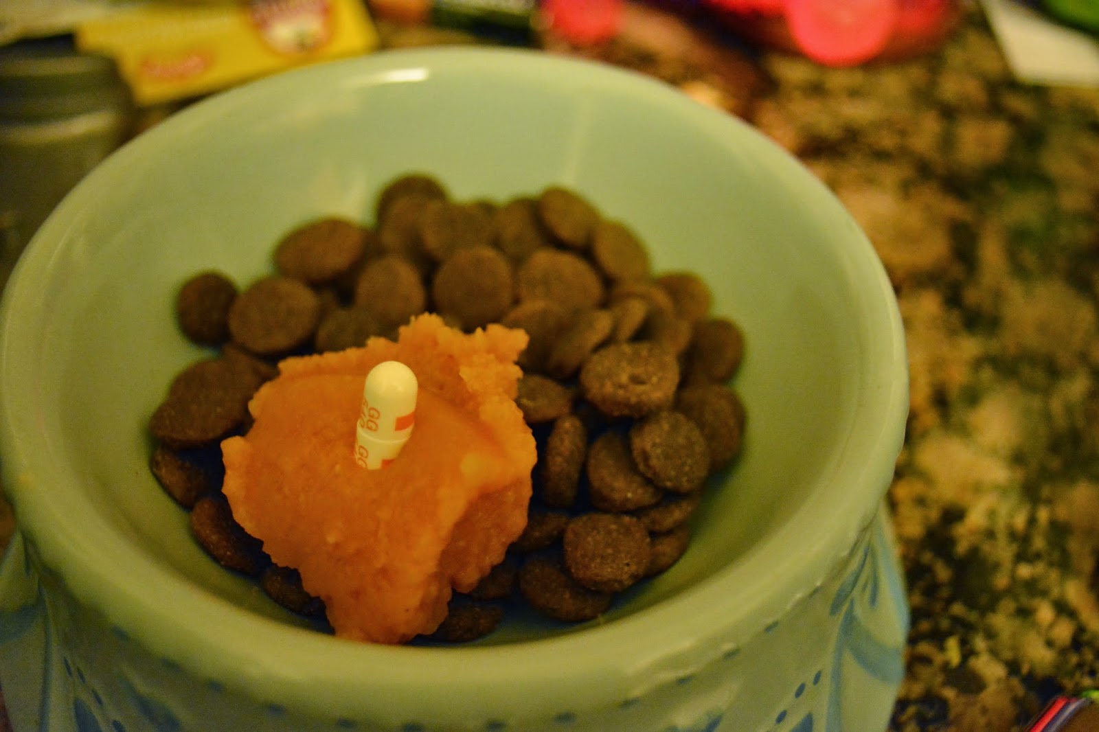 The Dog Geek 10 Ways to Get Pills Into a Dog.