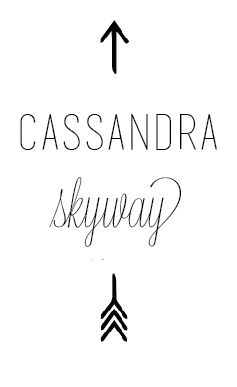 Cassandra Skyway