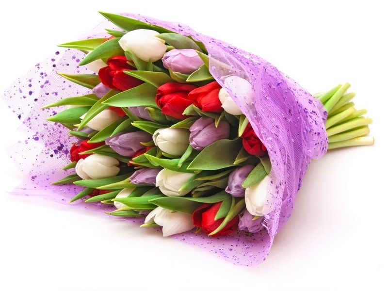 http://2.bp.blogspot.com/-dwJKYdg9eJM/T1Nrf99lWdI/AAAAAAAABCE/MW0Gp0E3Yvw/s1600/desktopwallpapers.org.ua-906.jpg