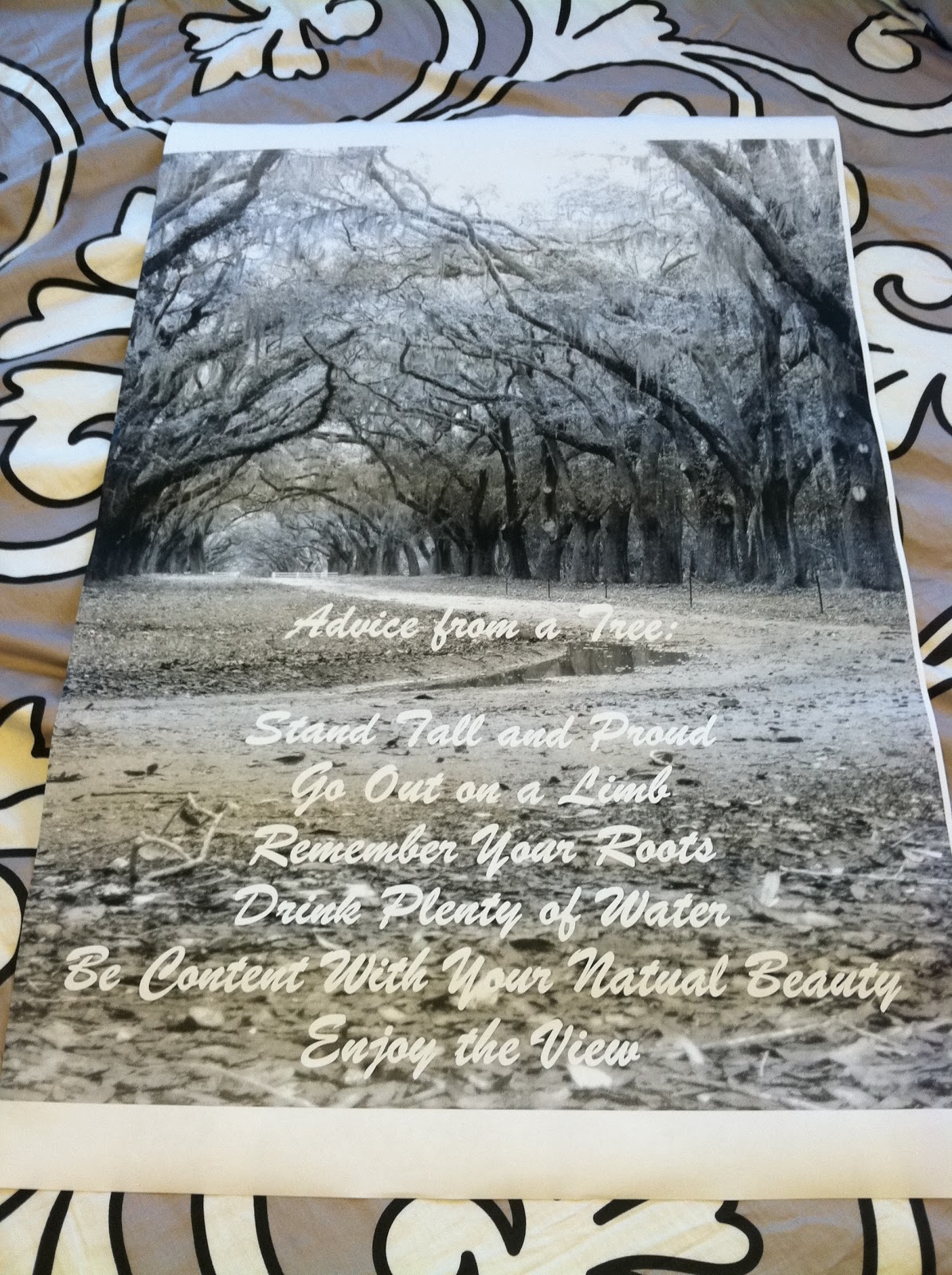 Downtime. Upcycle. Cheap Posters/Prints