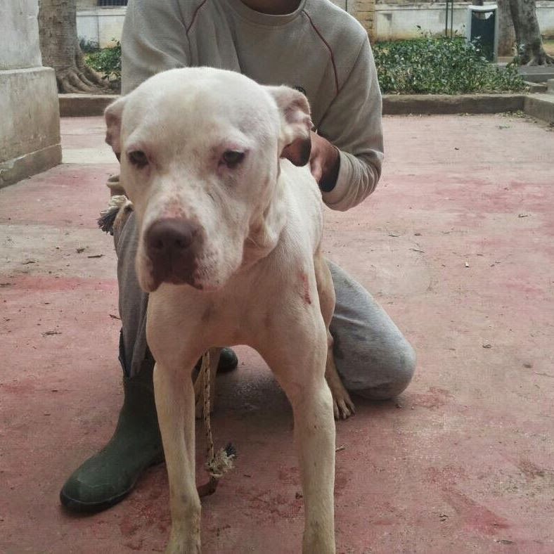 cerco amore in sicilia