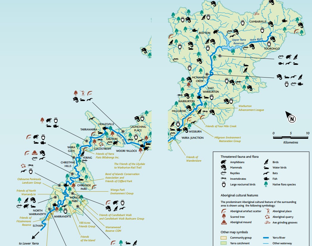 Trips Around the Sun Freshwater Swimming in the Yarra River near Melbourne