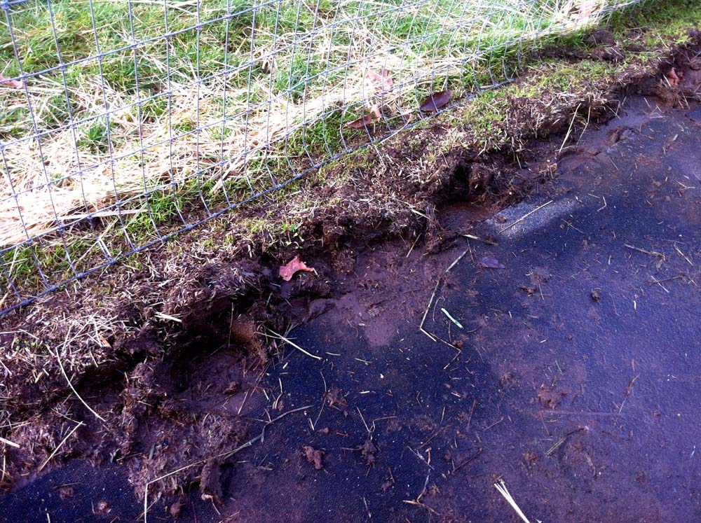 pasture mud mats www