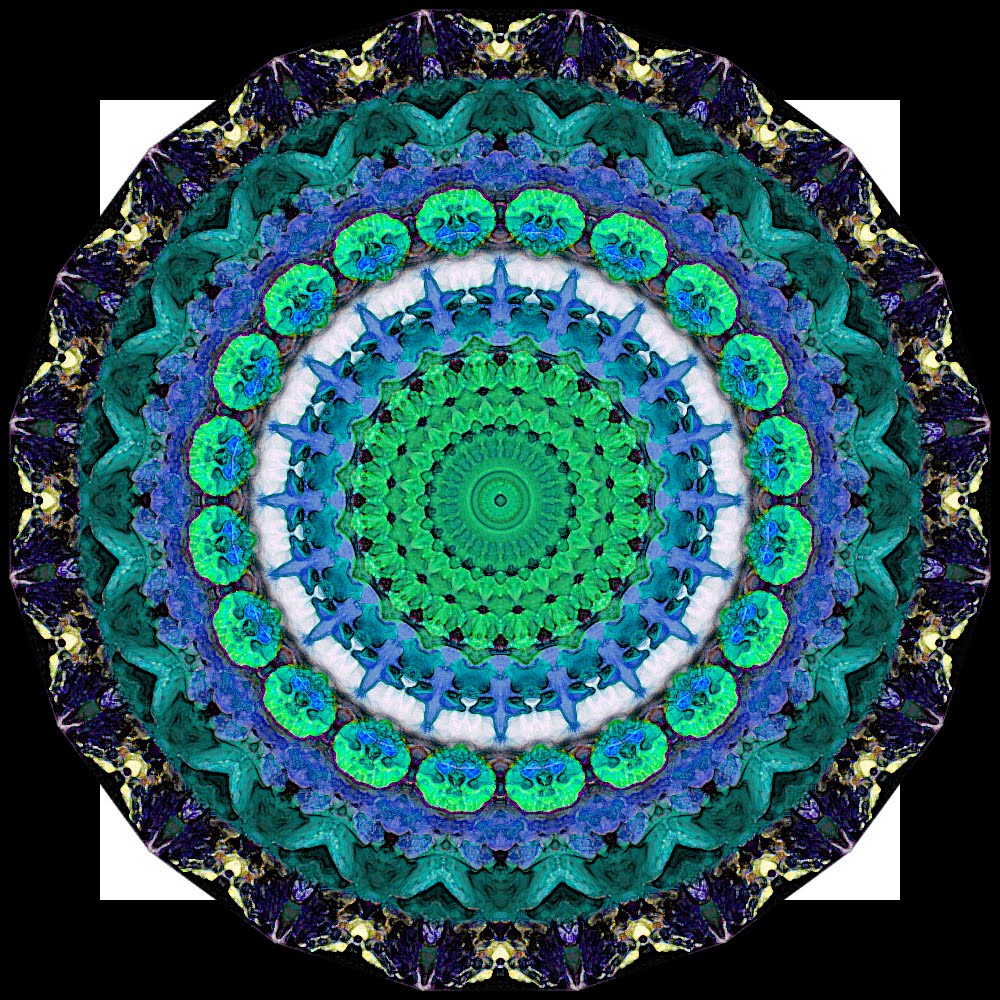 Art Flat 17 Some more mandalas