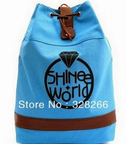 Check This SHINee Bag