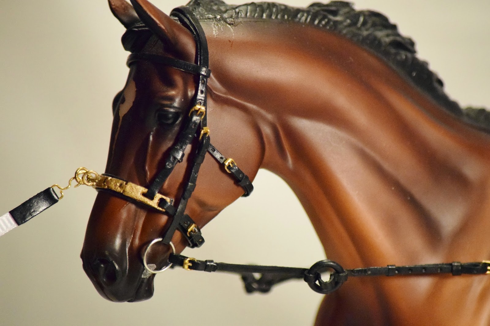 Lunging bridle Horse tack, Bryer horses, Horses