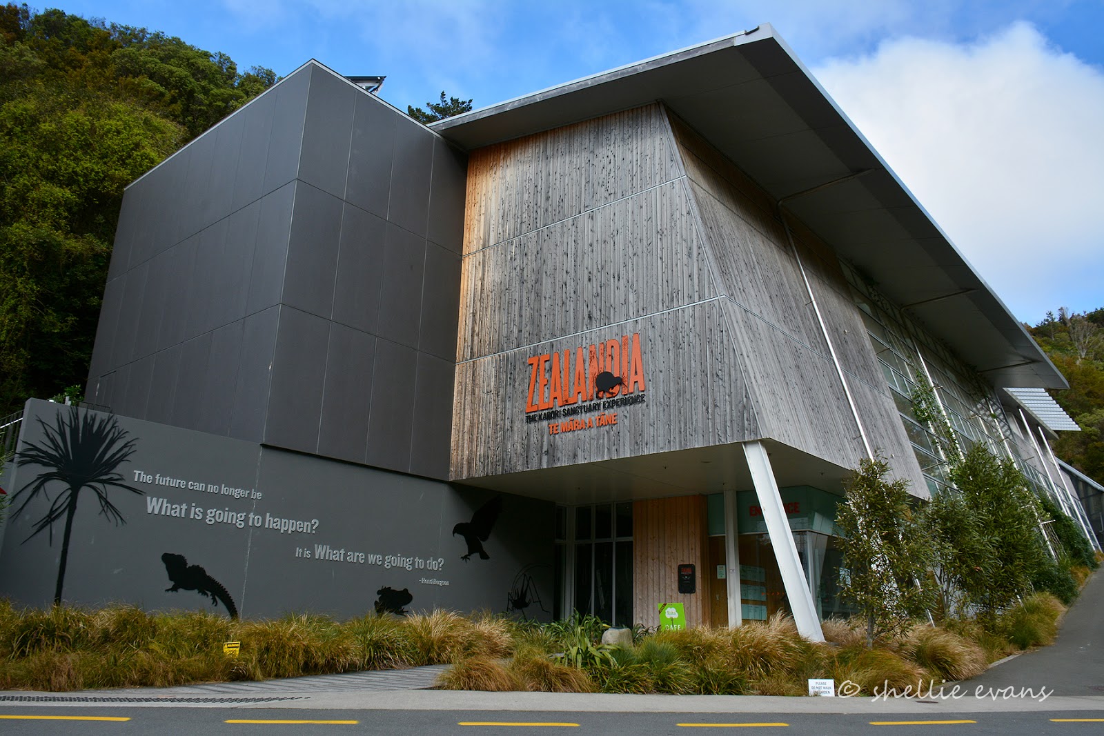 Two Go Tiki Touring Take a Tour Through Zealandia