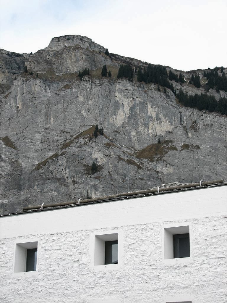 Majestic Plumage Valerio Olgiati Das Gelbe Haus