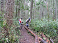 Banner Frame Photos Banner Forest