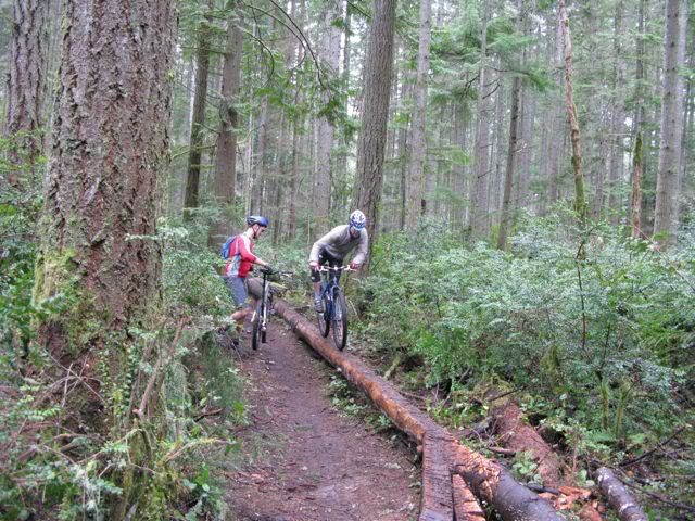 Banner Frame Photos Banner Forest