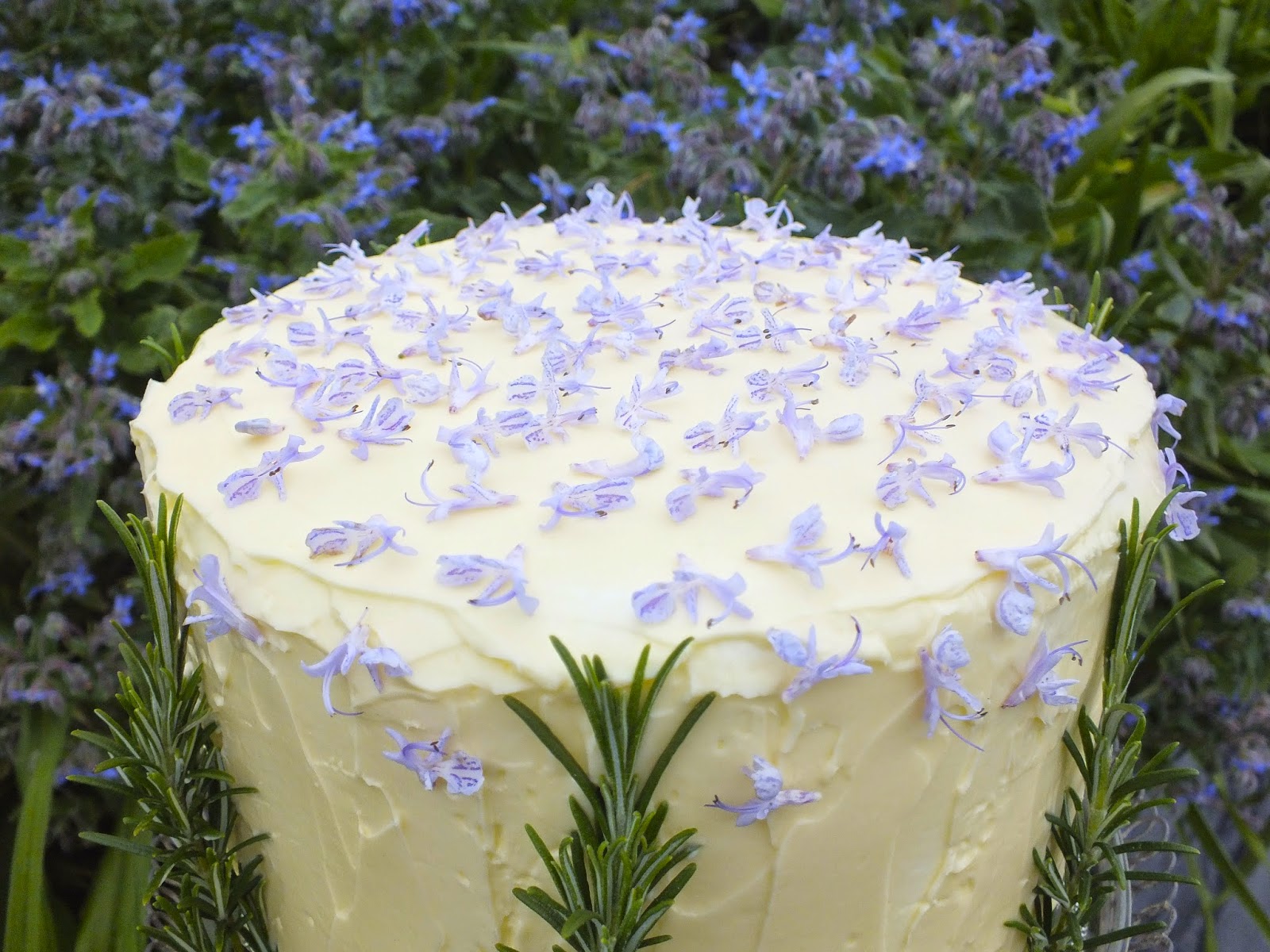 Edible flowers Rosemary Cake