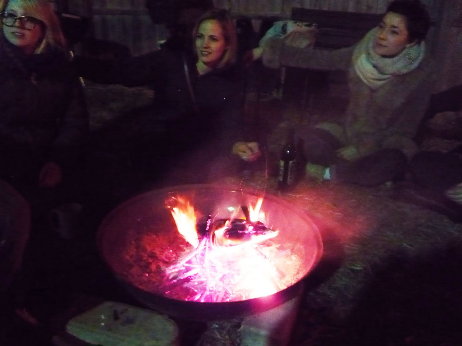 Dried Dandelion Root