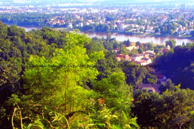Elbhangfest Dresden Loschwitz