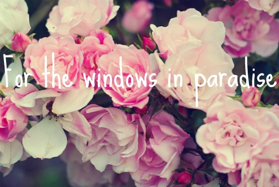 For the windows in paradise