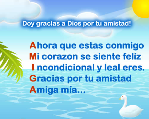 amor amor