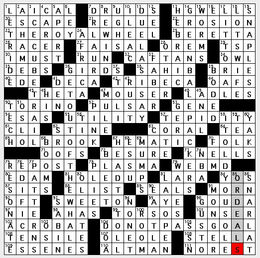 Rex Parker Does the NYT Crossword Puzzle Dutch city near Arnhem / SUN