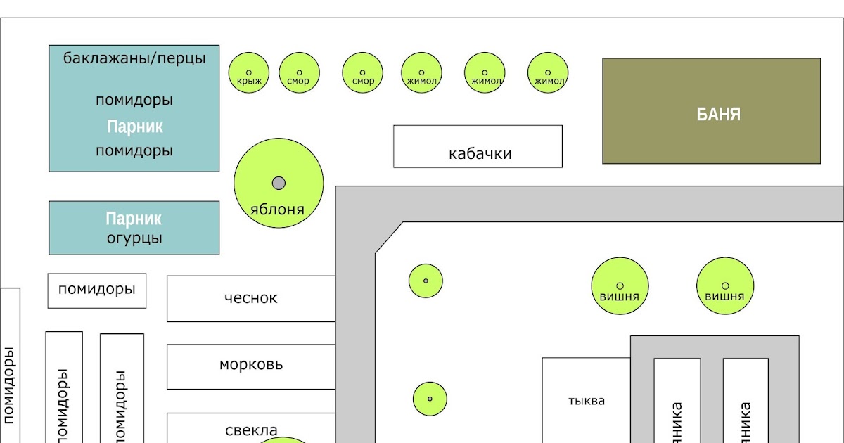 Когда и как сажать многолетки Когда и как сажать многолетки