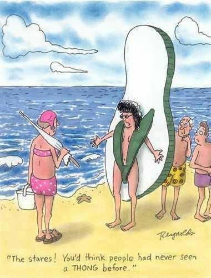 fabulous finds fashion funnies the new thong bikini...