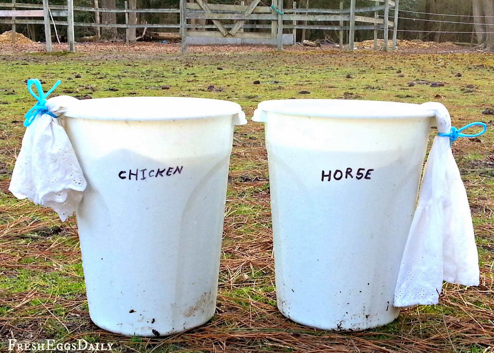 How To Brew En Or Horse Manure Fertilizer Tea For Your Tomatoes Asparagus Cabbage And Watermelons Specifically Benefit From Some Extra Nitrogen In The Soil However Too Much Not Enough Calcium Can