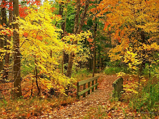 Autumn Wallpapers HD: Beautiful Autumn Wallpapers HD