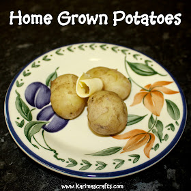 home grown potatoes