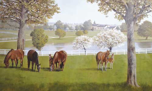 My Top Collection: Horse Wallpaper Murals My Top Collection: Horse Wallpaper Murals