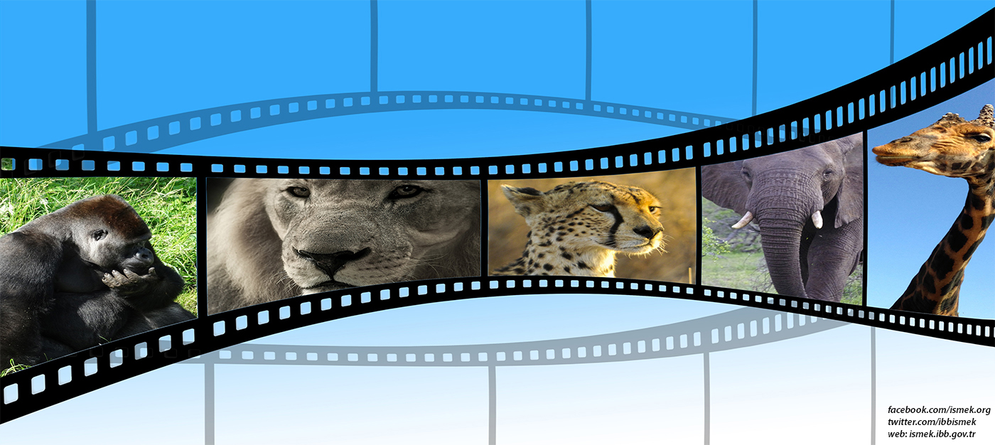 Ismek Kurslari Video Ve Sunum Hazirlama