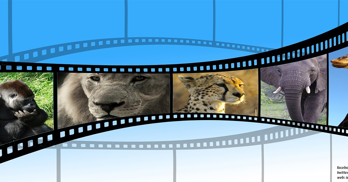 Ismek Kurslari Video Ve Sunum Hazirlama