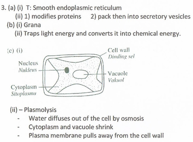 biology form 4 chapter 4 essay question Biology essay points biology paper 2 (question)l documents similar to biology form 4 chapter 3 biology form 5 chapter 3 uploaded by. biology form 4 chapter 4 essay question Biology essay points biology paper 2 (question)l documents similar to biology form 4 chapter 3 biology form 5 chapter 3 uploaded by.