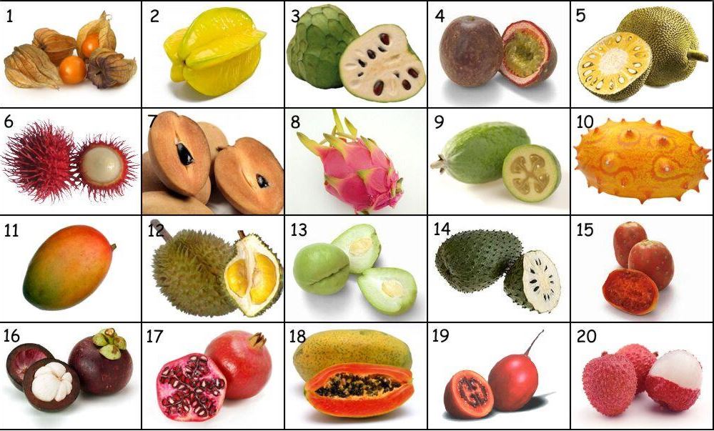 YemSmoothies Fruit Quiz 1