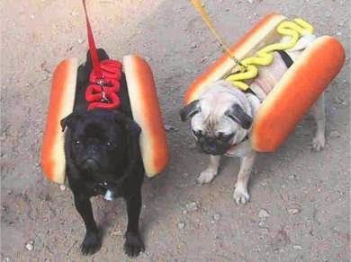 Aimez-vous les hot-dog ?