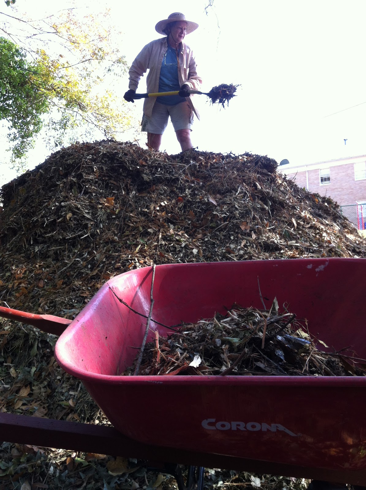 Plant Preview: November 2012