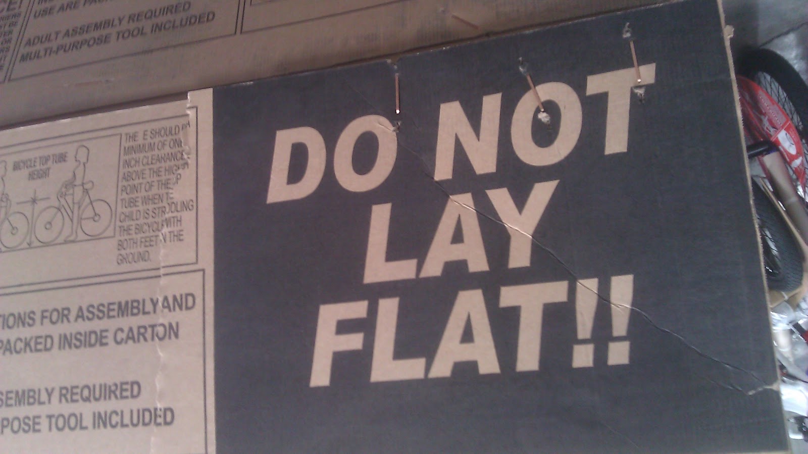 Lay Flat