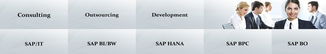 SAP Consulting Services, SAP Jobs, BI, SAP BW, SAP HANA, SAP BPC, SAP BO, Implementation