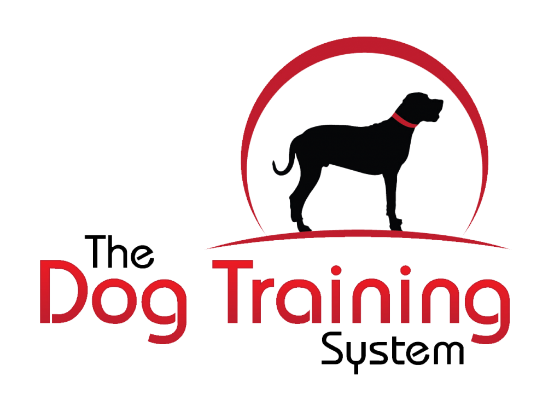 Your Online Dog Training