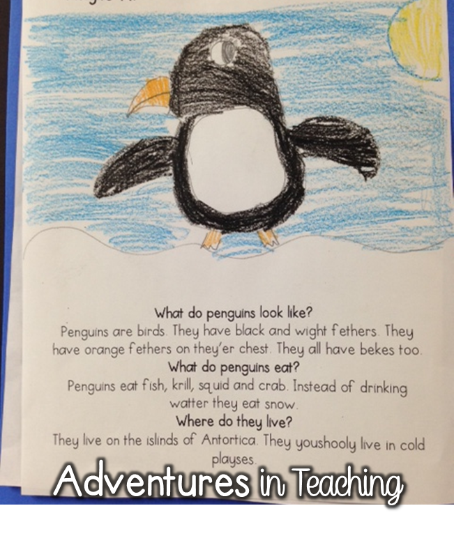 essay about penguins essay about penguins